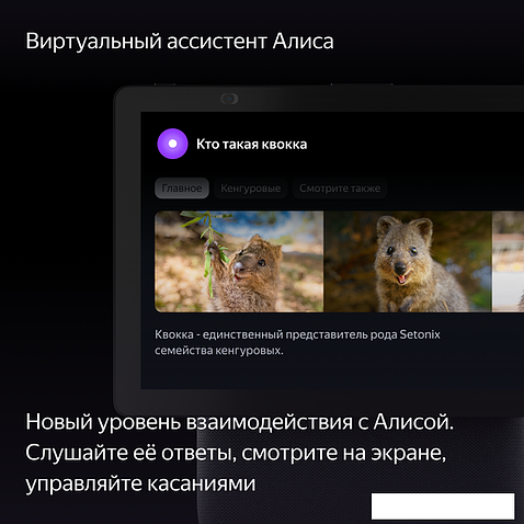 Колонка с умным дисплеем Яндекс Станция Дуо Макс (черный)