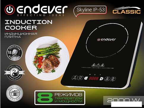 Настольная плита Endever Skyline IP-53