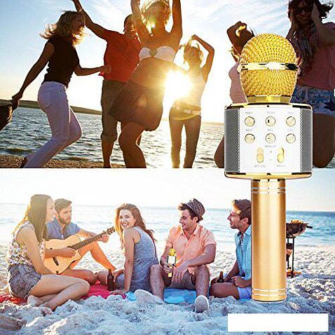 Микрофон Wster WS-858 (золотистый)