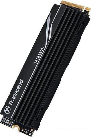 SSD Transcend 250H 1TB TS1TMTE250H