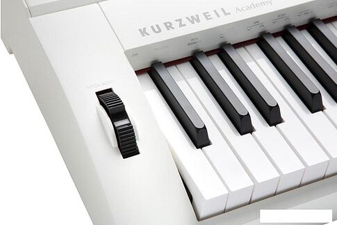 Цифровое пианино Kurzweil KA90 (белый)