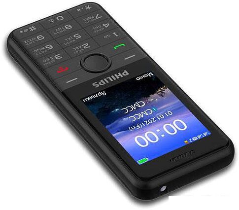 Смартфон Philips Xenium E172 (черный)