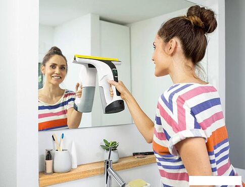 Пылесос Karcher WV 6 Premium