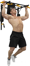 Турник Absolute Champion Железное тело Турник Absolute Champion Железное тело