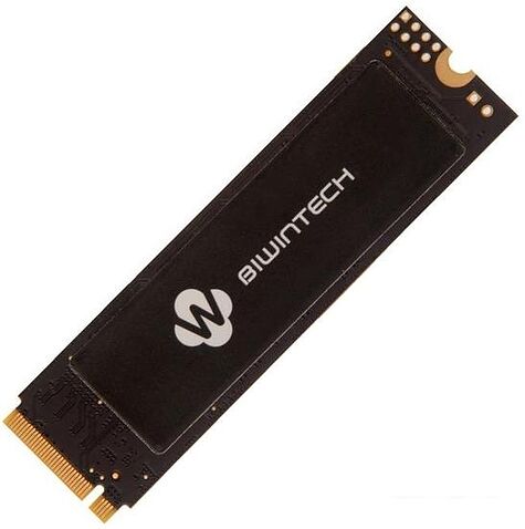 SSD Biwin NX500 256GB 82P1B8#G