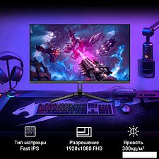 Игровой монитор Digma Overdrive 24P410F (черный)