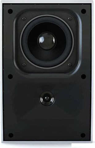 Пассивная акустика CVGaudio WPA10TW