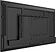 Информационная панель Lumien Basic G3 LB4350SDG3