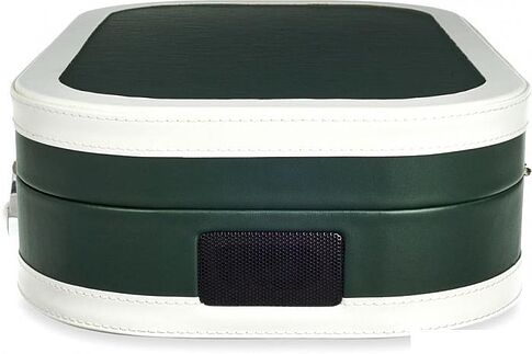 Виниловый проигрыватель Alive Audio Vintage (темно-зеленый)