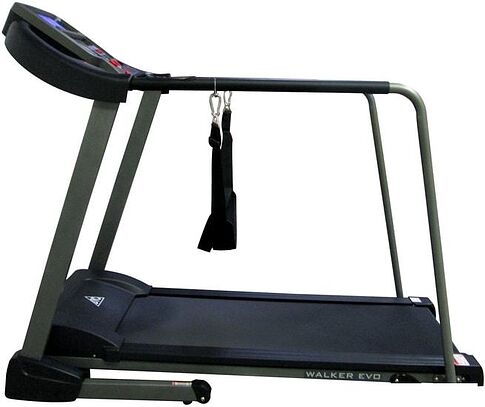 Электрическая беговая дорожка DFC Walker EVO T-S1