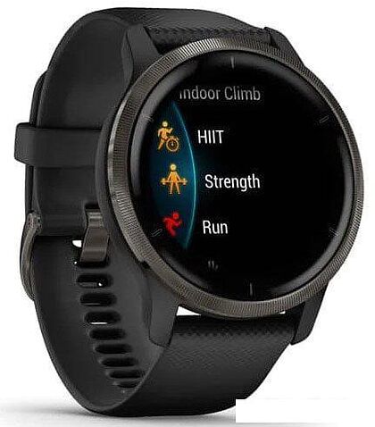 Умные часы Garmin Venu 2 (сланцевая нержавеющая сталь/черный)
