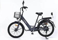 Электровелосипед MyWay Truck 500 24 (графит)