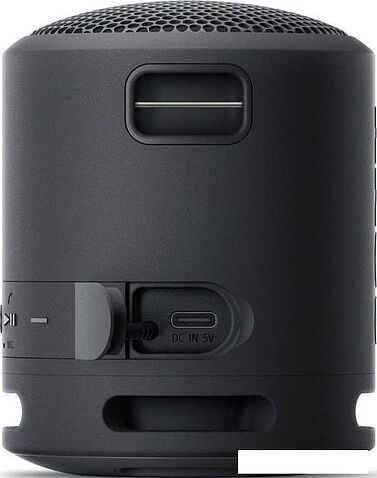 Беспроводная колонка Sony SRS-XB13 (черный)