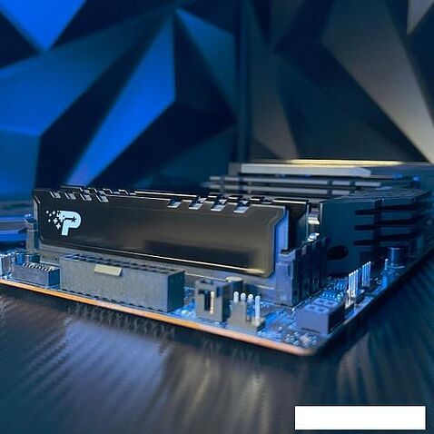 Оперативная память Patriot Signature Premium Line 24ГБ DDR5 5600 МГц PSP524G560081H1