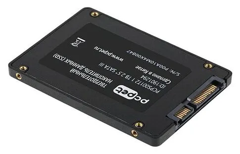 SSD PC Pet 1TB PCPS001T2