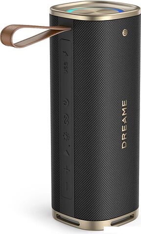 Беспроводная колонка Dreame Bluetooth Speaker S10 (черный)