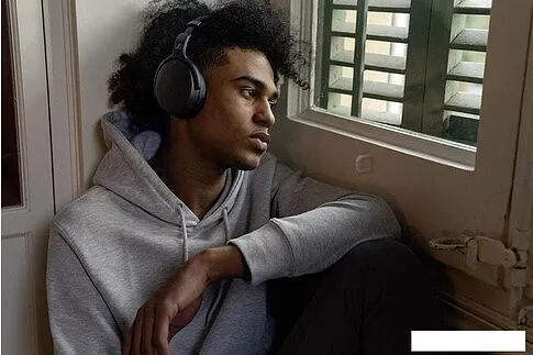 Наушники Sennheiser HD 450BT (черный)