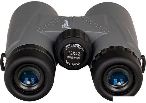 Бинокль Levenhuk Karma Plus 12x42 [67713]