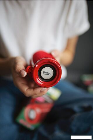 Беспроводная колонка More Choice BS22 (красный)