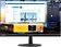 Монитор Lenovo L24q-30 65FBGAC1EU