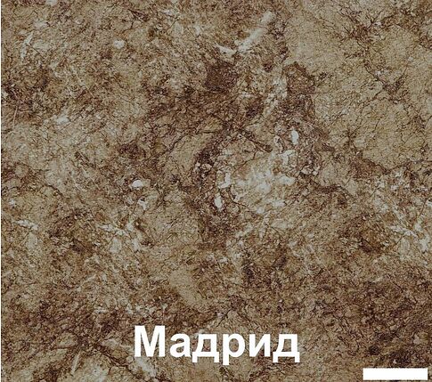 Кухня Кортекс-мебель Корнелия Экстра 2.4м (белый/береза/мадрид)