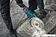 Угловая шлифмашина Bosch GWS 24-230 JZ Professional 06018C3300