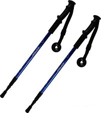 Палки для скандинавской ходьбы Espado ENW-003 (синий) Палки для скандинавской ходьбы Espado ENW-003 (синий)