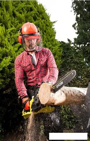 Электрическая пила Ryobi RCS2340B