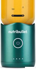 Портативный блендер NutriBullet Flex NBP013GR