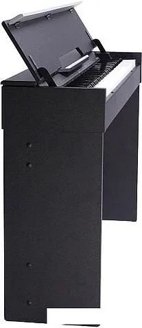 Цифровое пианино Medeli СDP5000 (черный)