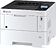 Принтер Kyocera Mita ECOSYS P3145dn + 1 дополнительный картридж TK-3160
