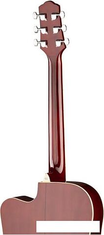 Акустическая гитара Naranda DG220CWRS