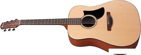 Акустическая гитара Ibanez AAD50-LG