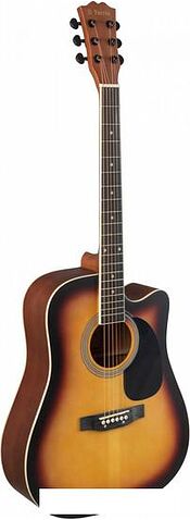 Акустическая гитара Terris TD-045 SB Starter Pack
