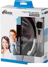 Наушники с микрофоном Ritmix RH-533 USB (серебристый)