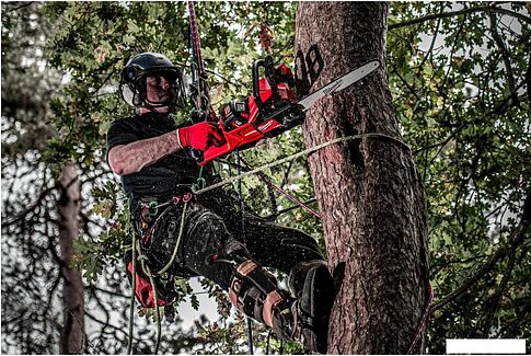 Аккумуляторная пила Milwaukee M18 FCHS-122 4933499217 (с 2-мя АКБ)