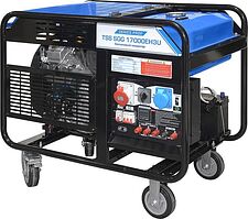 Бензиновый генератор ТСС SGG 17000EH3U