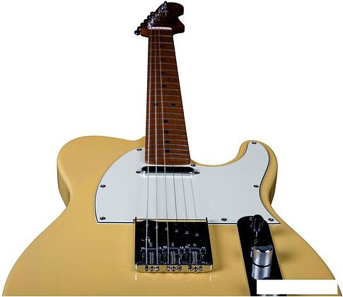 Электрогитара JET JT-300 BTS