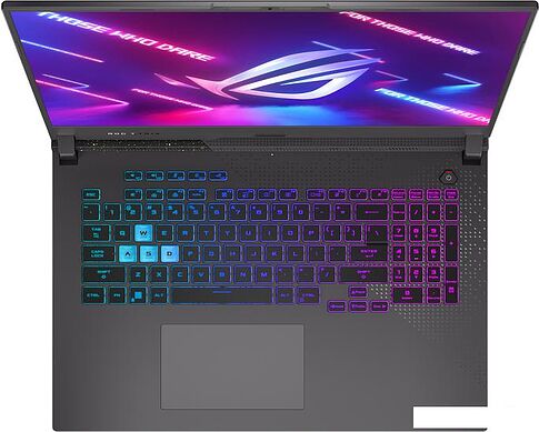 Игровой ноутбук ASUS ROG Strix G17 2023 G713PU-LL043