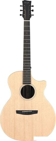 Акустическая гитара Enya EGA-X1 Pro/NA