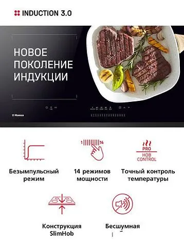 Варочная панель Hansa BHI67116
