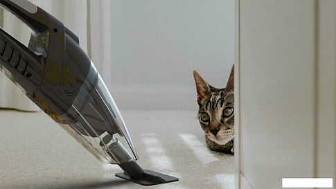 Автомобильный пылесос Ritmix CVC-007