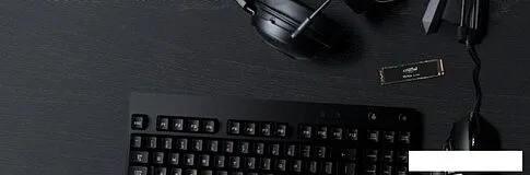 SSD Crucial P5 Plus 1TB CT1000P5PSSD8