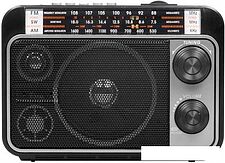 Радиоприемник Ritmix RPR-171