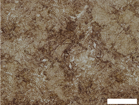 Шкаф напольный Кортекс-мебель Корнелия Мара НШ60р3ш (салатовый-мадрид)