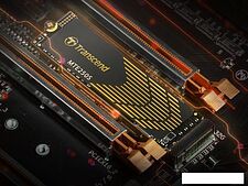 SSD Transcend 250S 2TB TS2TMTE250S