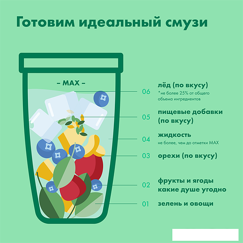 Погружной блендер NutriBullet NB100DG Pro