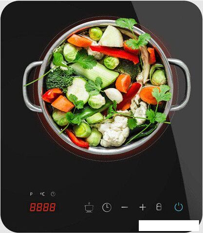 Настольная плита Cecotec Full Magma Single