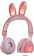 Наушники Aiwa AW023 (розовый)