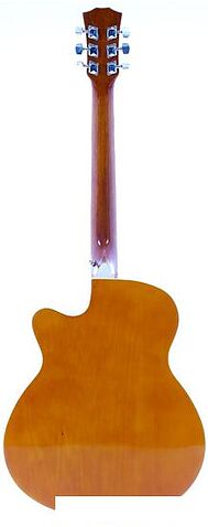 Акустическая гитара Elitaro E4030 SB